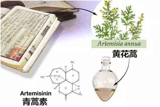 爱体育平台客服,爱体育（中国）：向中医药看齐，与世界共享中医药文化(图1)